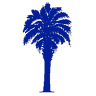 Palmetto Collegiate Institute