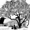 Lincoln Heights Animal Hospital: Kemble Betsy C DVM