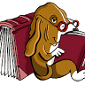 Librairie Lis tes Ratures