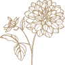 Lidwina Blumen für besondere Momente