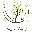 Lienes dārzi
