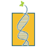 Lifecare Diagnostics