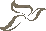 Lifestyle Hair & Body Spa di Antonella Piccione