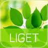 Liget Dental