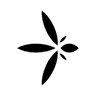 Lilium