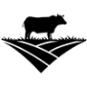 Lillian Cattle Company