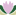 Lily Obstetrics & Gynecology