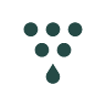 Liquid Grape GmbH