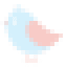 littlebird