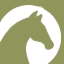 Little Oasis Equine Store