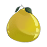 Little Pomelo