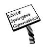 Little Springers Gymnastics