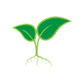 Little Sprouts Learning Center