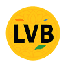 Little Vietnamese Bistro
