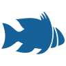 Live Fish Direct
