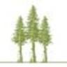 Sequoia Apartments
