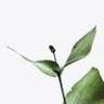 Live Well Holistic Wellness Centre