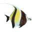 Living Art Aquatics, Inc.