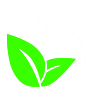 Living Green Solar