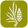 Restaurante La Fuenroya