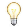 Lloyd Electric LLC
