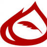 LNG Academy