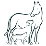 Loch Lomond Veterinary Hospital