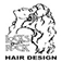 Locks That Rock Hair Design