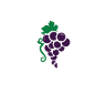 Lodi City Attorney