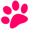 Lollipaws Grooming Services