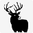 Long Hunters Taxidermy