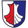 Sbor dobrovolných hasičů Velká Losenice