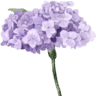 Lottes Blomster