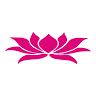 Lotus Cuisine of India