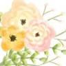 Love Blooms Floral Design
