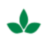 Solata Foods LLC