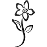 Flores para Siempre, Lucia Cano. Secado de ramos de novia