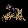 Lucky 1st Bengal Kittens