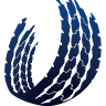 Lucy's Tire Americas