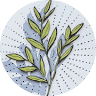 Luminate Co Wellness Market