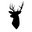 MacIntyre's