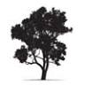 Maculata Park | Cambewarra