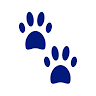 Madison Pet Shop