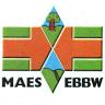Maes Ebbw Bach