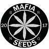 Mafia Seeds