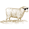 Maggie's Farm