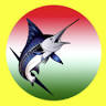 Attrezzature per la pesca - Magic Marlin F.lli Polimeno snc