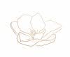 Magnolia Designs