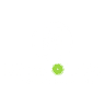 Magnolia’s Taco & Tequila Bar