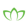 Magnolia Wealth Strategies